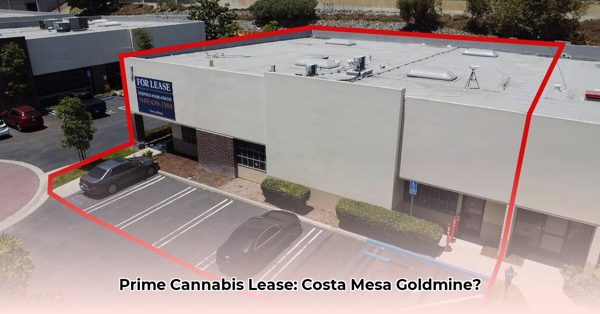 3505-cadillac-costa-mesa-ca